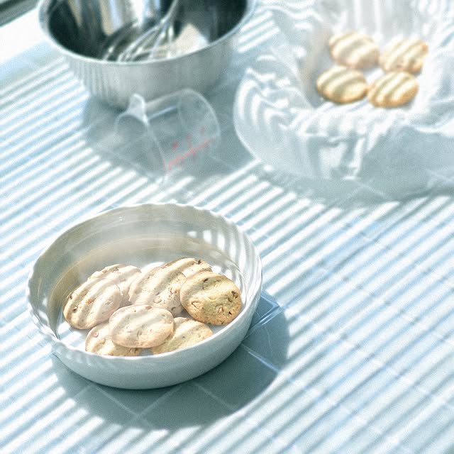 深皿 磁器 / ホワイト×ビスク