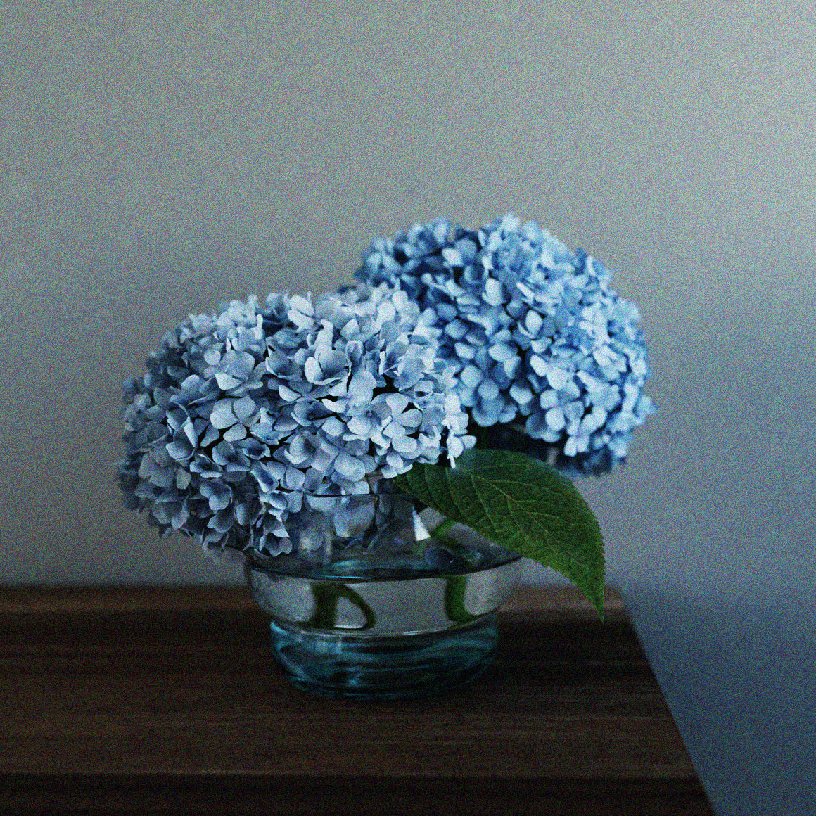 片口(大) ガラス / インディゴ