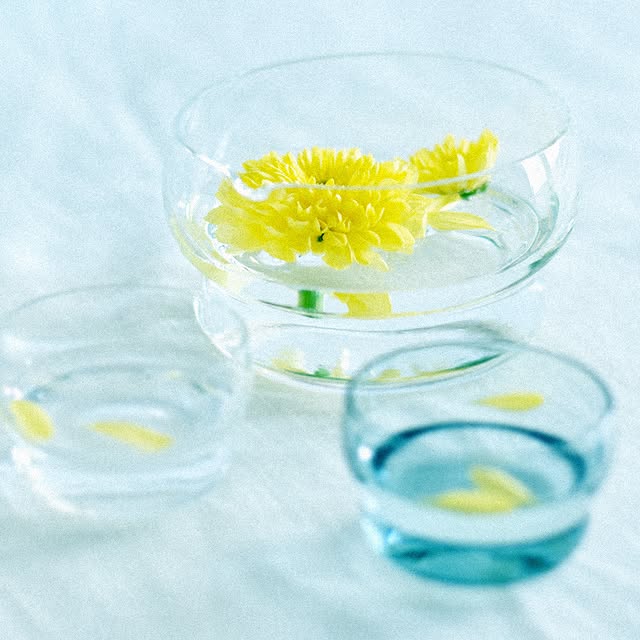 片口（大） ガラス / クリアー